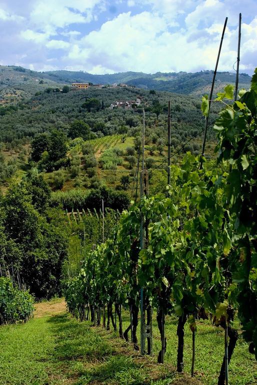 Villa Antico Borghetto Di Tigliano Vinci Buitenkant foto
