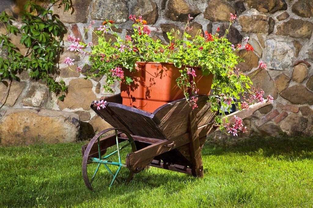 Villa Antico Borghetto Di Tigliano Vinci Buitenkant foto